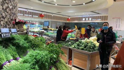 青藏高原农副产品集散中心农产品供应信息 2月1日