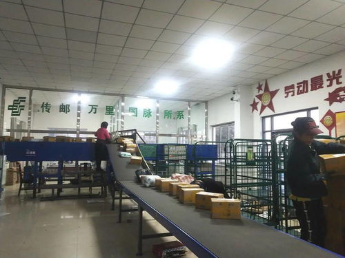 邮政与拼多多合力 助推我旗农副产品销售